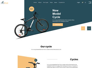 projects-page-cycle-pic